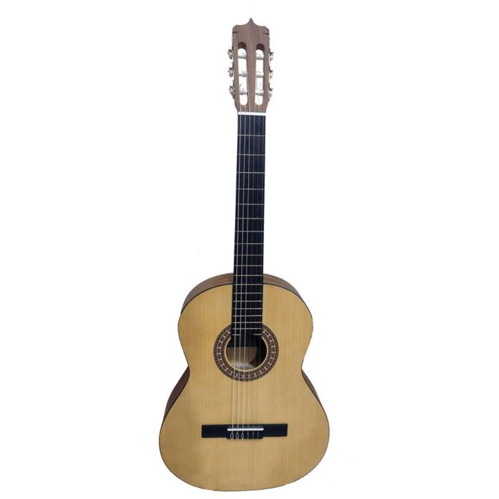 گیتار مدل پارسی D3